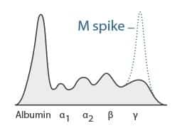 paraprotein-m-spike
