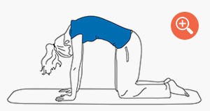 Yoga: Die Katzenstellung Yoga: Die Katzenstellung