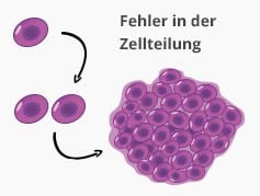 fehlerinderzellteilung