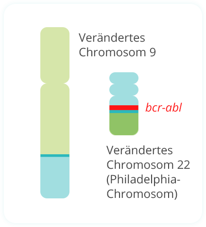 Entstehung Philadelphia Chromosom Schritt 3