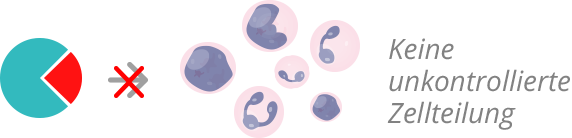Tyrosinkinasehemmer bei CML: Keine unkontrollierten Zellteilung