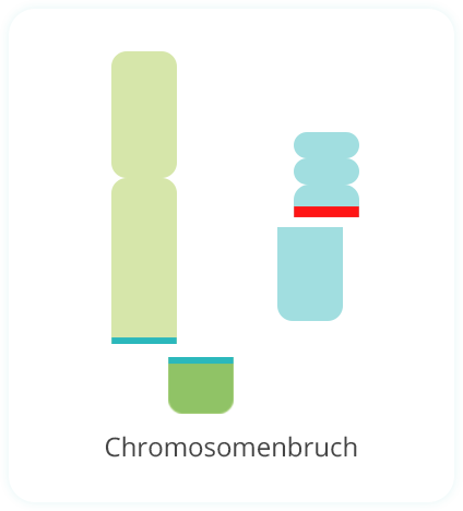 Entstehung Philadelphia Chromosom Schritt 2