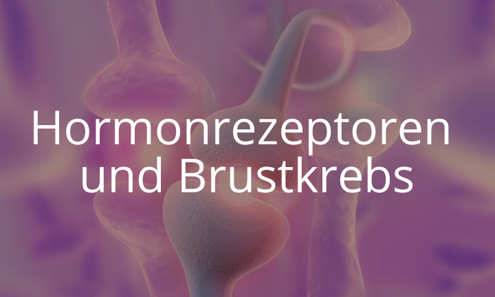 Hormonrezeptoren und Brustkrebs Hormonrezeptoren und Brustkrebs