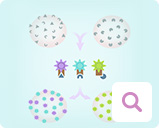Nachweismethoden für Blutkrebs: Immunphänotypisierung Nachweismethoden für Blutkrebs: Immunphänotypisierung