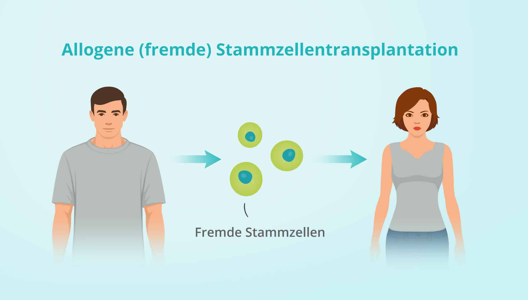 Allogene (fremde) Stammzellentransplantation