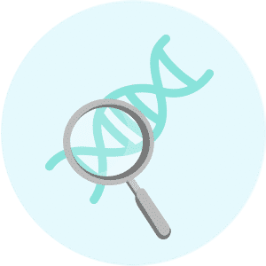 Zytogenetische Untersuchung