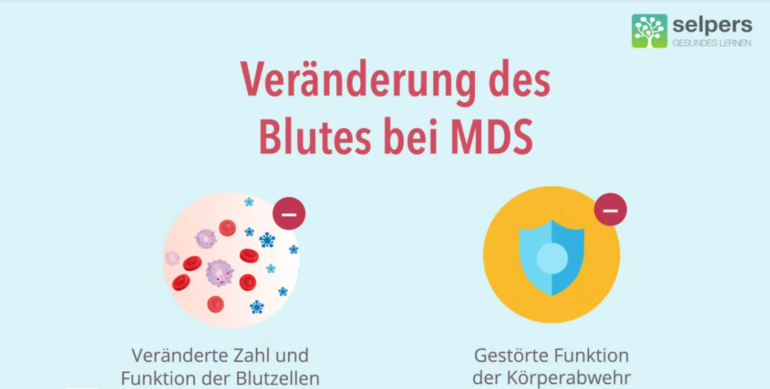 Veränderung des Blutes bei MDS