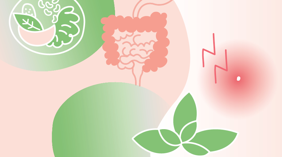Header_CED_Kursreihe