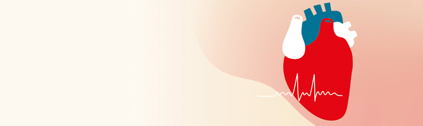 Banner_Herz-Kreislauf