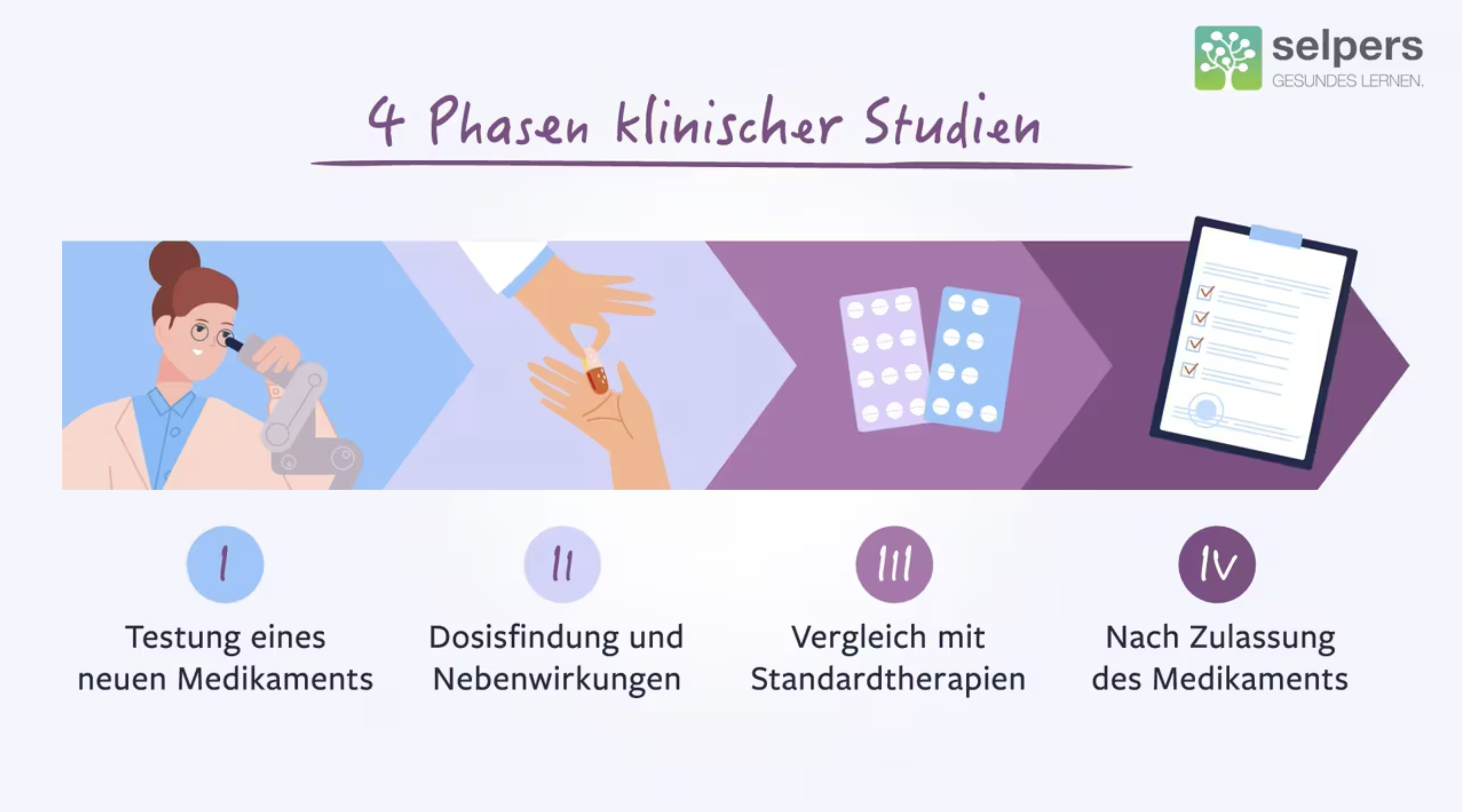 selpers-phasen-klinische-studien-bei-krebs