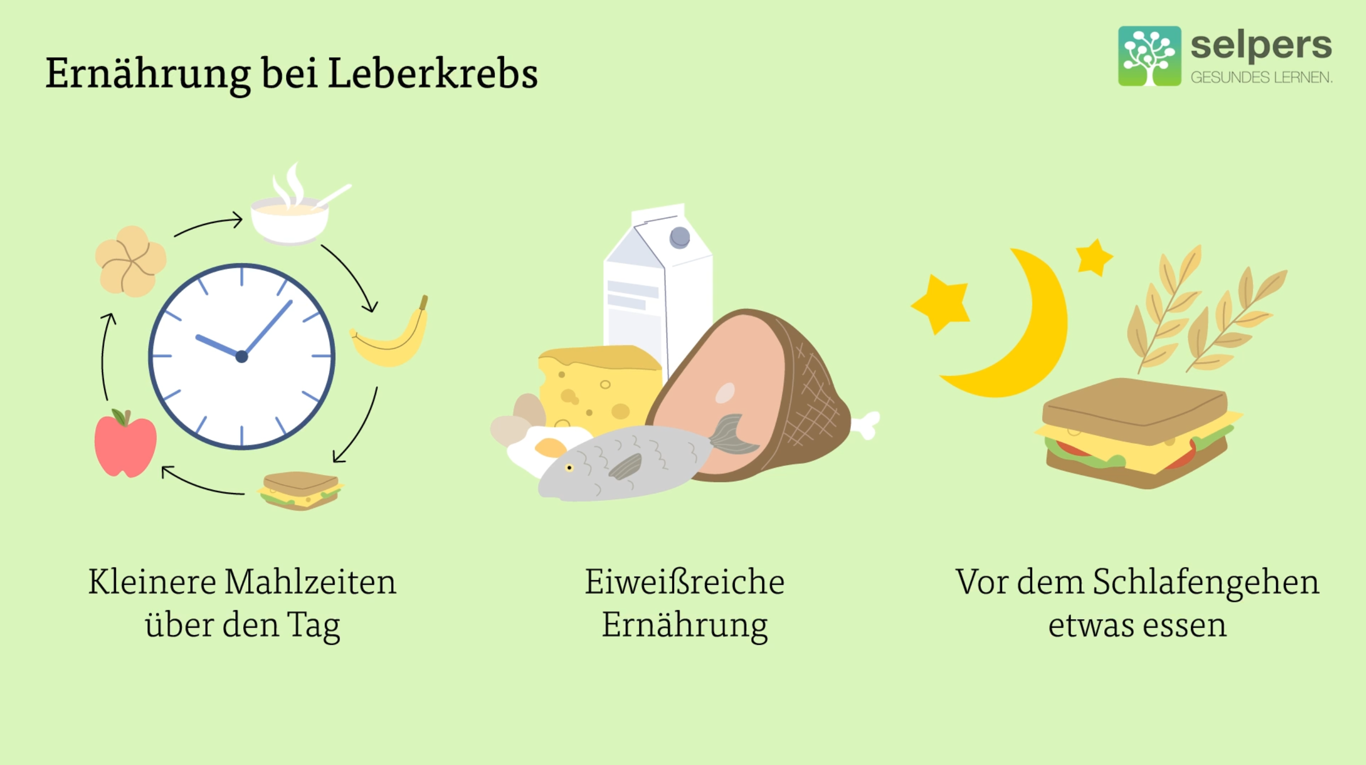 Leberkrebs_verstehen_Ernährung_bei_Leberkrebs_selpers Leberkrebs verstehen Ernährung bei Leberkrebs