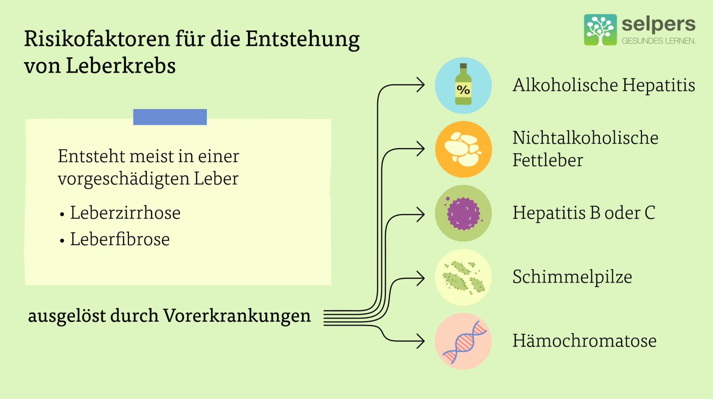 Leberkrebs_verstehen_Risikofaktoren_für_die_Entstehung_von_Leberkrebs_selpers Leberkrebs verstehen Riskiofaktoren für die Entstehung von Leberkrebs