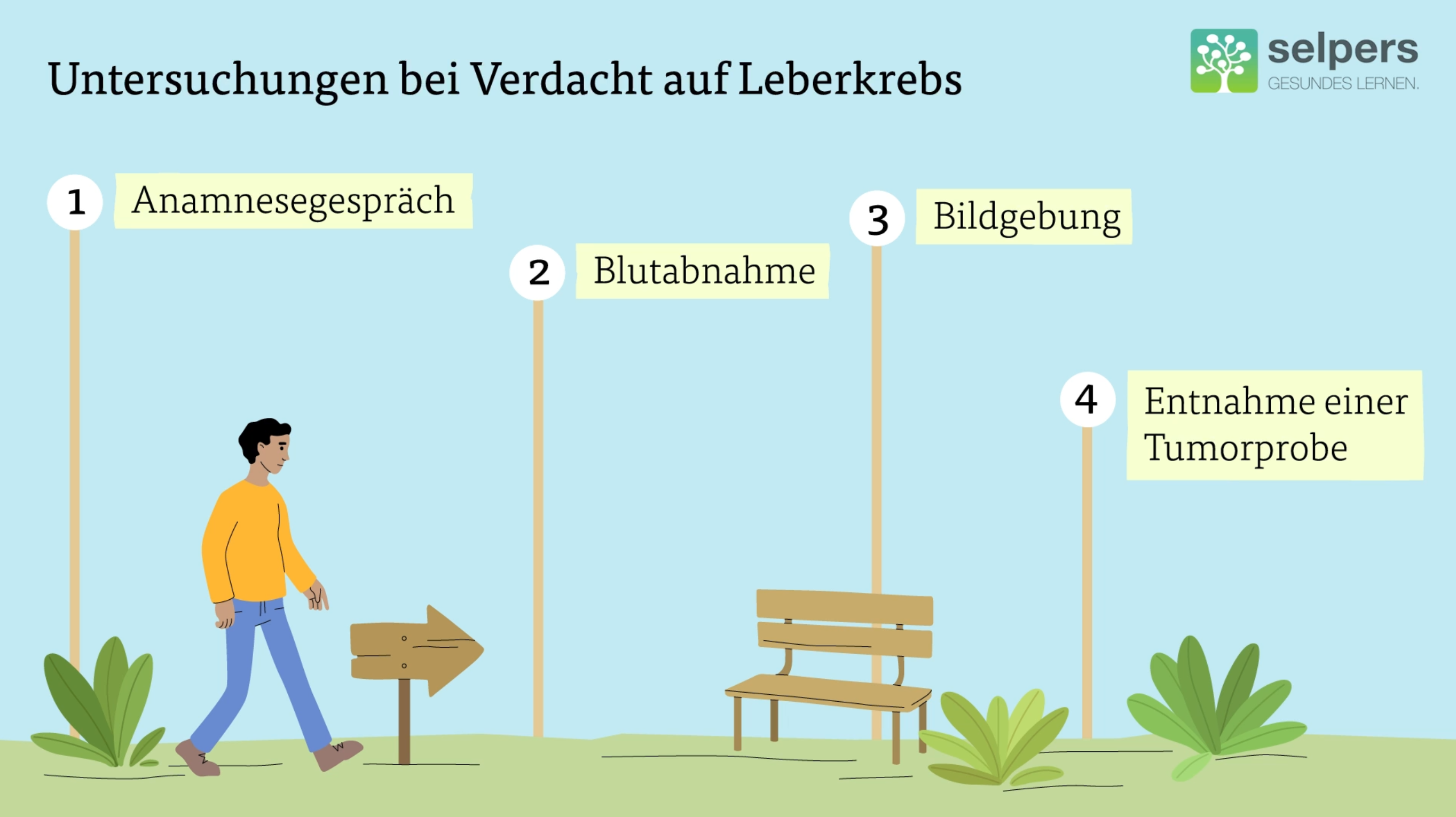 Leberkrebs_verstehen_Untersuchungen_bei_Verdacht_auf_Leberkrebs_selpers Leberkrebs verstehen Untersuchungen bei Verdacht auf Leberkrebs