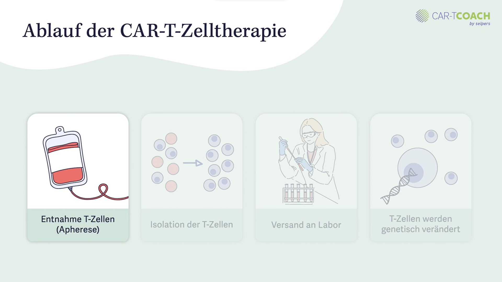 ablauf-der-car-t-zelltherapie-apherese-labor-selpers Ablauf der CAR-T-Zelltherapie: Apherese bis Labor