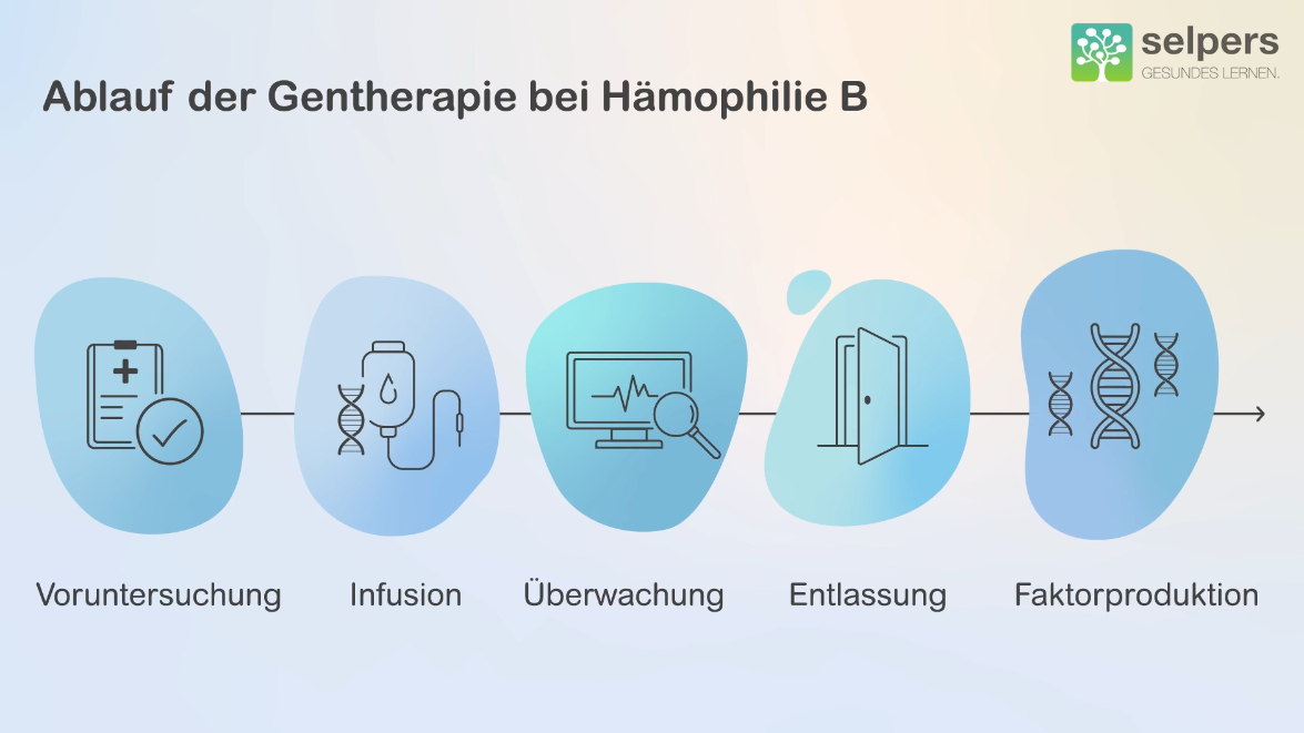ablauf-der-gentherapie-bei-hämophilie-b-selpers